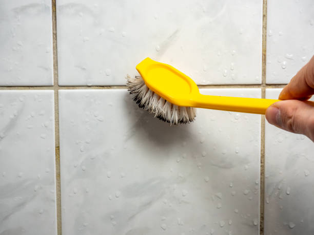Best Home Mold Removal  in Fairfax, MN