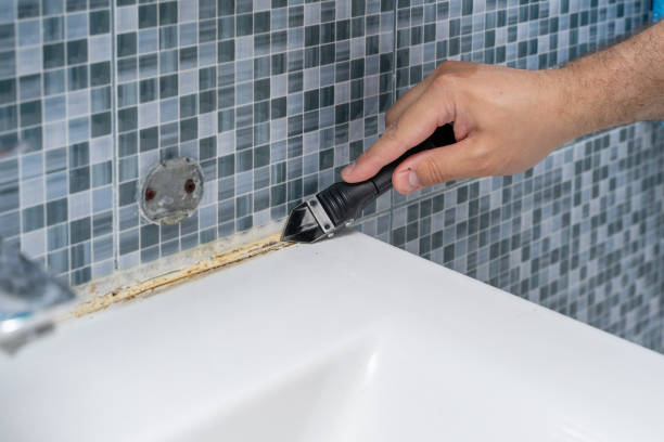 Best Residential Mold Removal  in Fairfax, MN