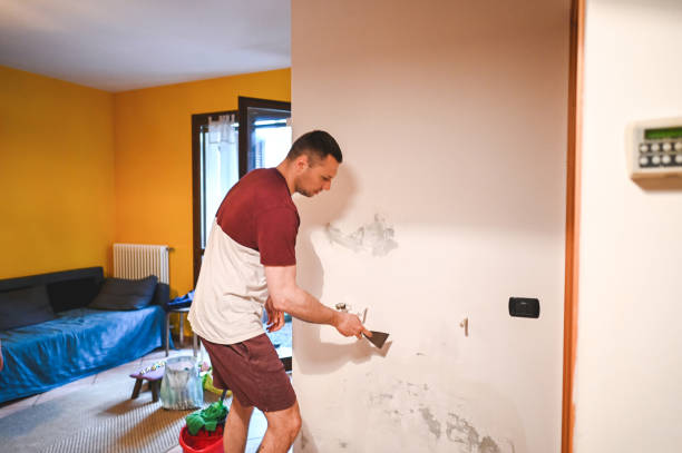 Best Mold Damage Repair  in Fairfax, MN